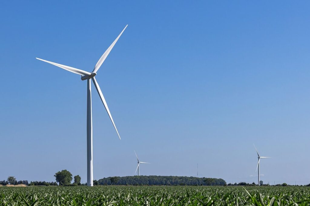 Green Bonds Face Tougher Rules on What Counts Green Bonds Face Tougher Rules on What Counts — illustrative photograph